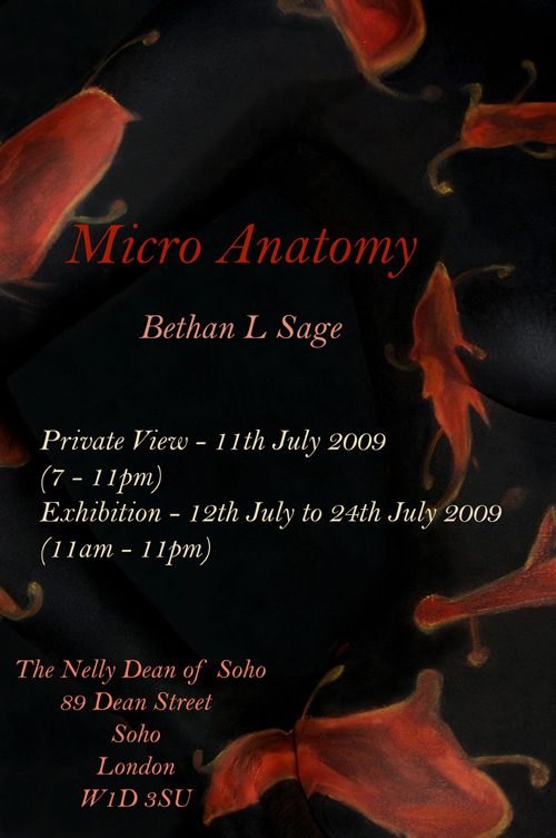 Micro_Anatomy
