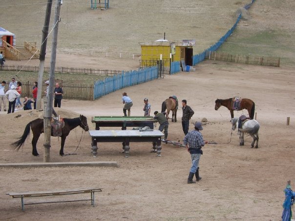 Pool_Table_Outdoors_With_Animals