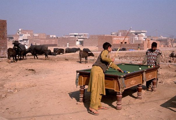 Pool_Table_Outdoors_With_Animals