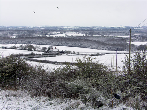 Pompey_Snow