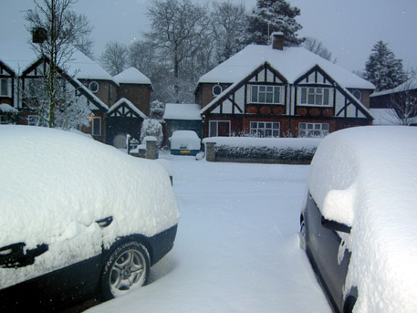 BuckstersSnow