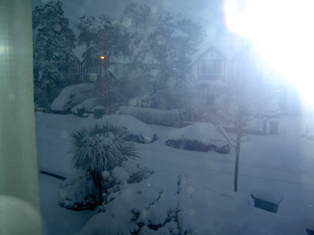 BuckstersSnow