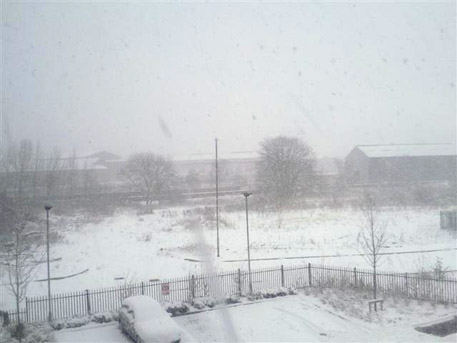 MiscuesSnow