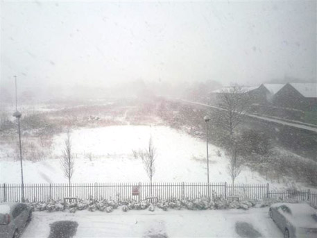 MiscuesSnow